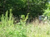 DSC06420