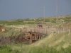 DSC07919