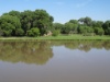 DSC08665