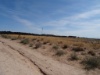 DSC08680
