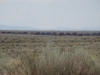 DSC08685