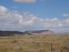 DSC08743