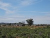DSC09095