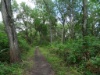 DSC05361