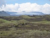 DSC09641