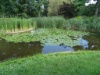 DSC05407