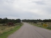 DSC00583
