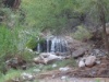 DSC00725