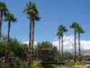 DSC01211