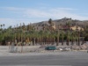 DSC01524