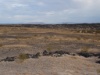 DSC01740