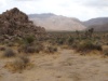 DSC01827