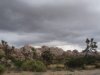 DSC01853
