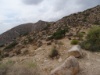 DSC01889