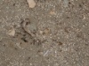 DSC01904