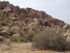 DSC01962