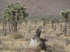 DSC01964