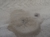 DSC01995