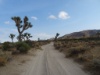 DSC01998