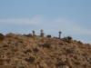 DSC02012