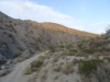 DSC02019