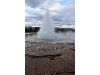 IMG 7898