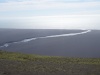 DSC09598 1