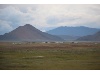IMG 8798