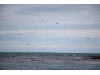IMG 9048