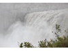 IMG 8894