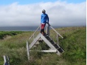 DSC00602 1