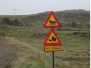 DSC00640 1